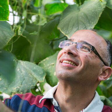 Square-RZJO140219_008_Powerstar-RZ[1]